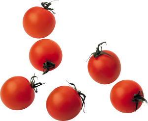 Tomato PNG-12543